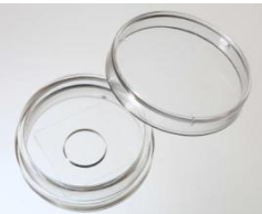 35mm 玻底培養(yǎng)皿，激光共聚焦專用培養(yǎng)皿