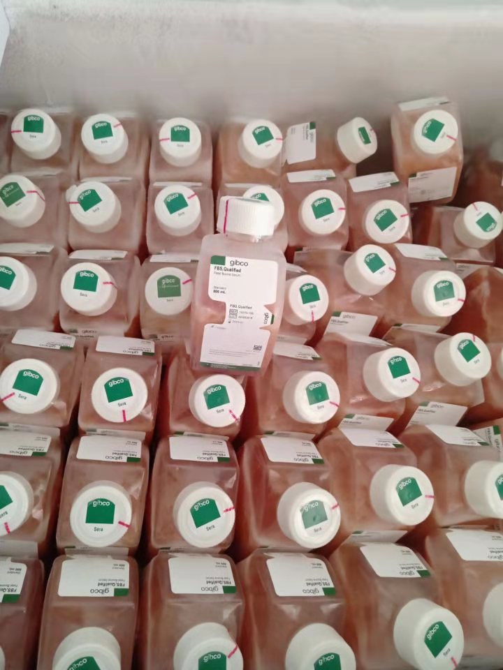 DMEM/高糖(含高糖、L-谷氨酰胺、酚紅，不含丙酮酸鈉、HEPES、磷酸鹽)產(chǎn)品已下架